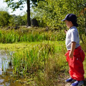 child throwing pebbles in water