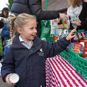 harvest festival