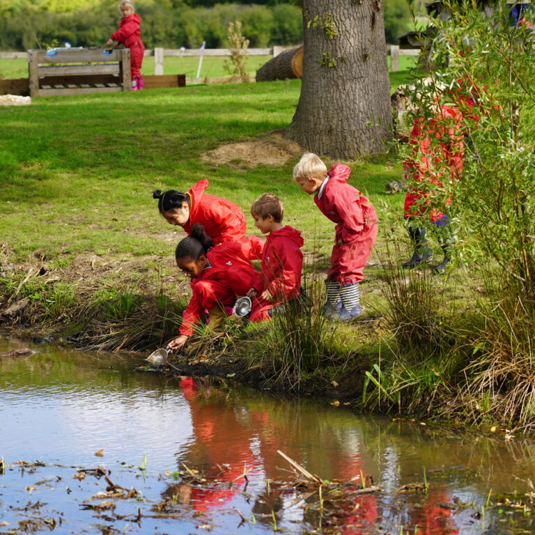 students leaning down by the river