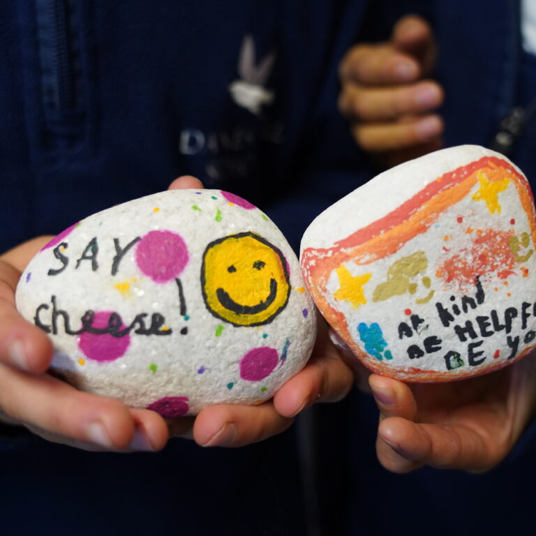 painting on rocks